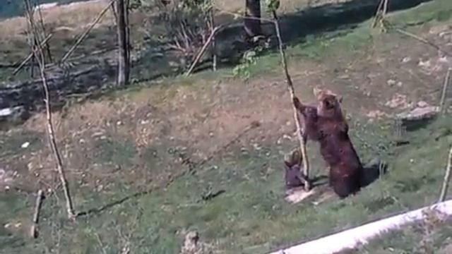 Когда дома наделал делов и мама заметила