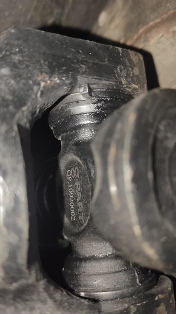 VID_20251213_154812.mp4