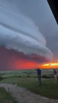 Подпишись 👉 https://kamennyi-zver.ru/