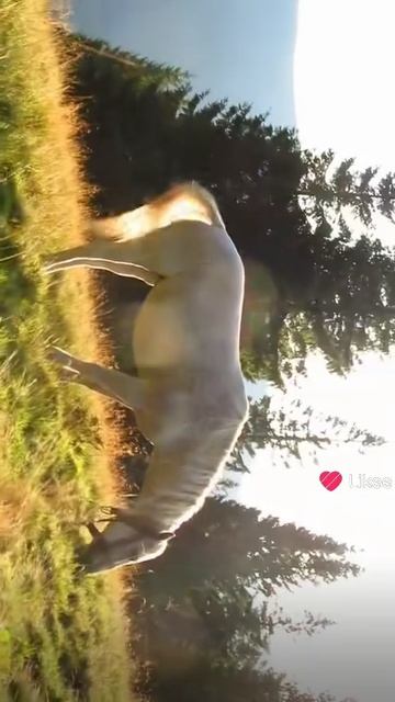 А помните ваше лето? Его уже не вернуть..