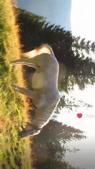 А помните ваше лето? Его уже не вернуть..