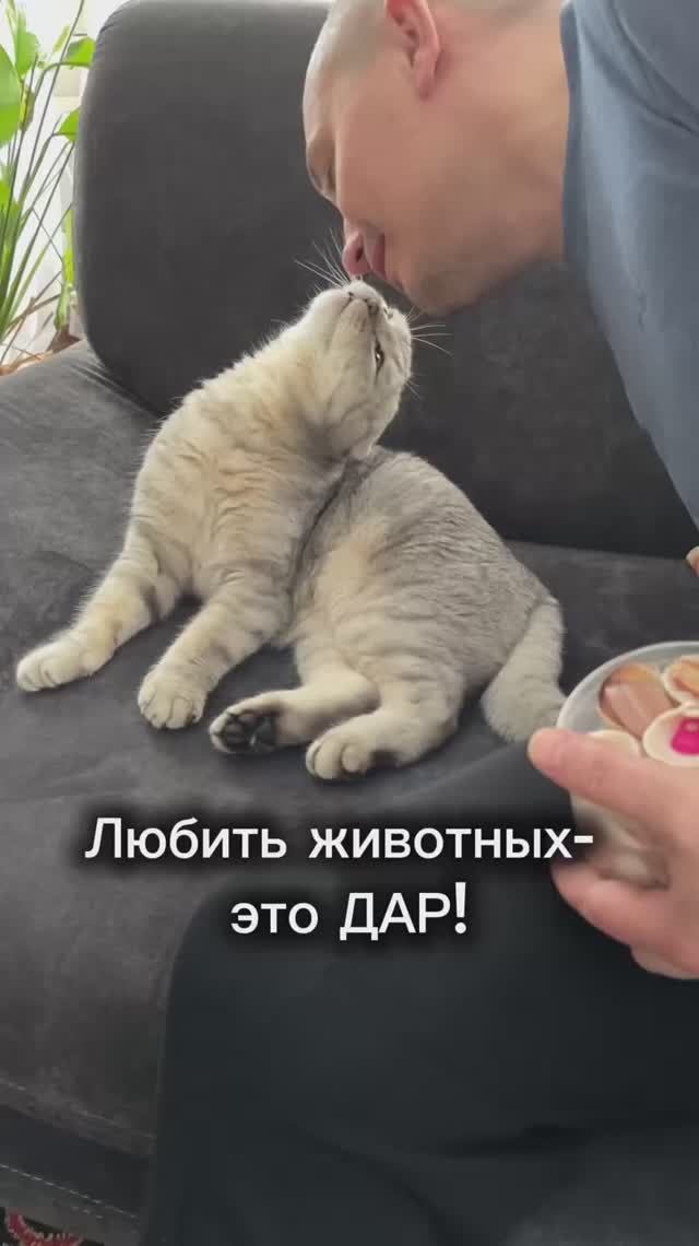 А вы как думаете?☺️