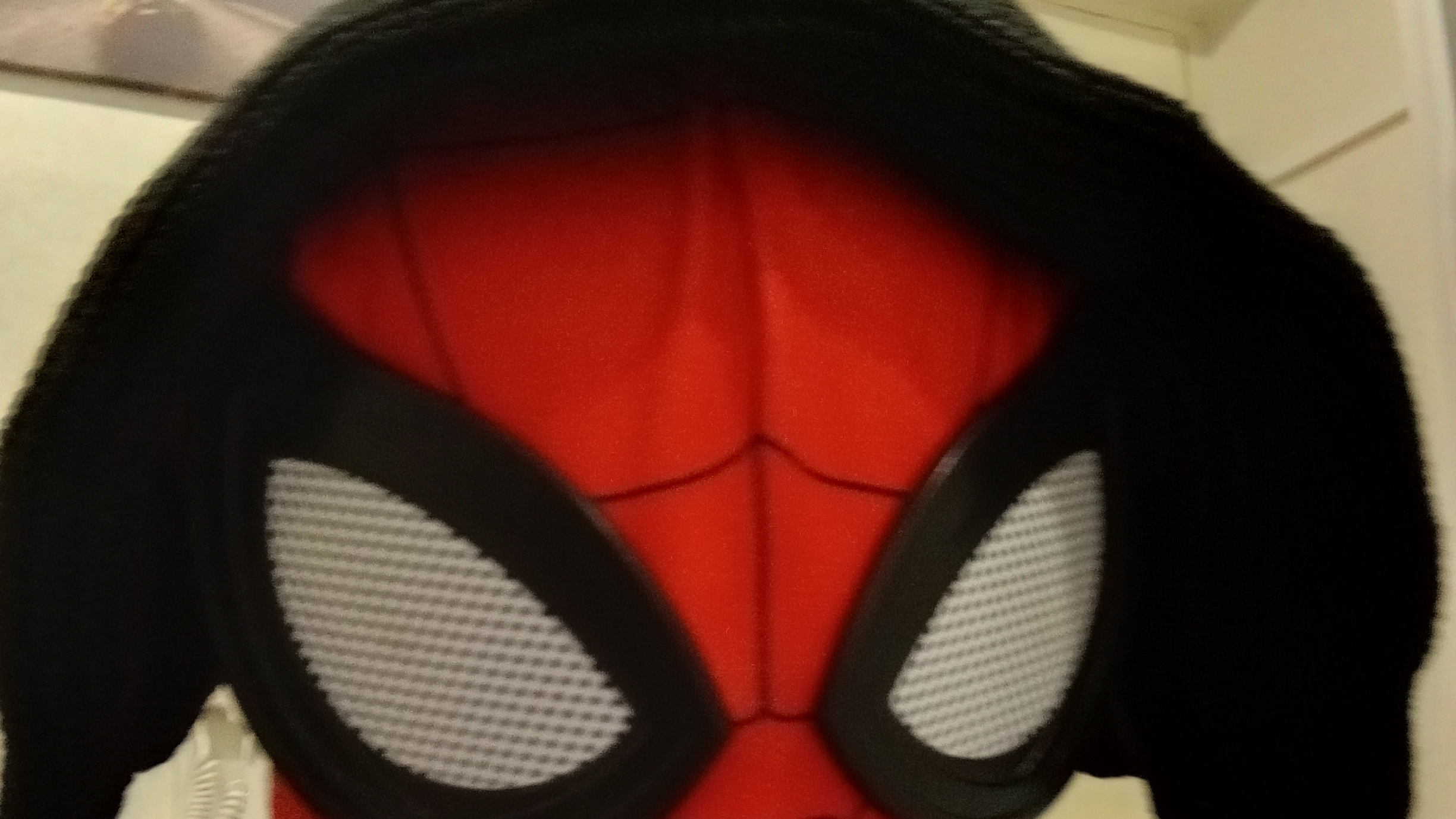 пробрался домой к стримеру