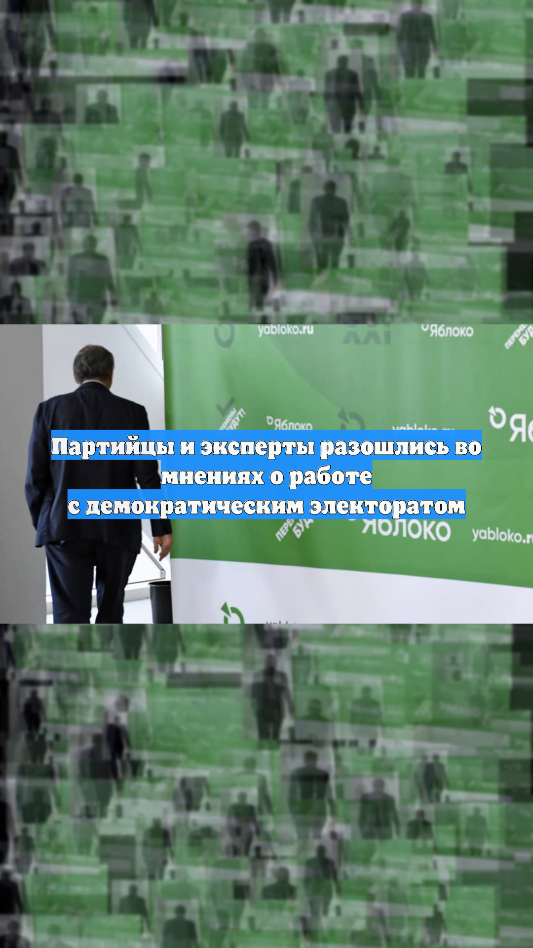 Партийцы и эксперты разошлись во мнениях о работе с демократическим электоратом