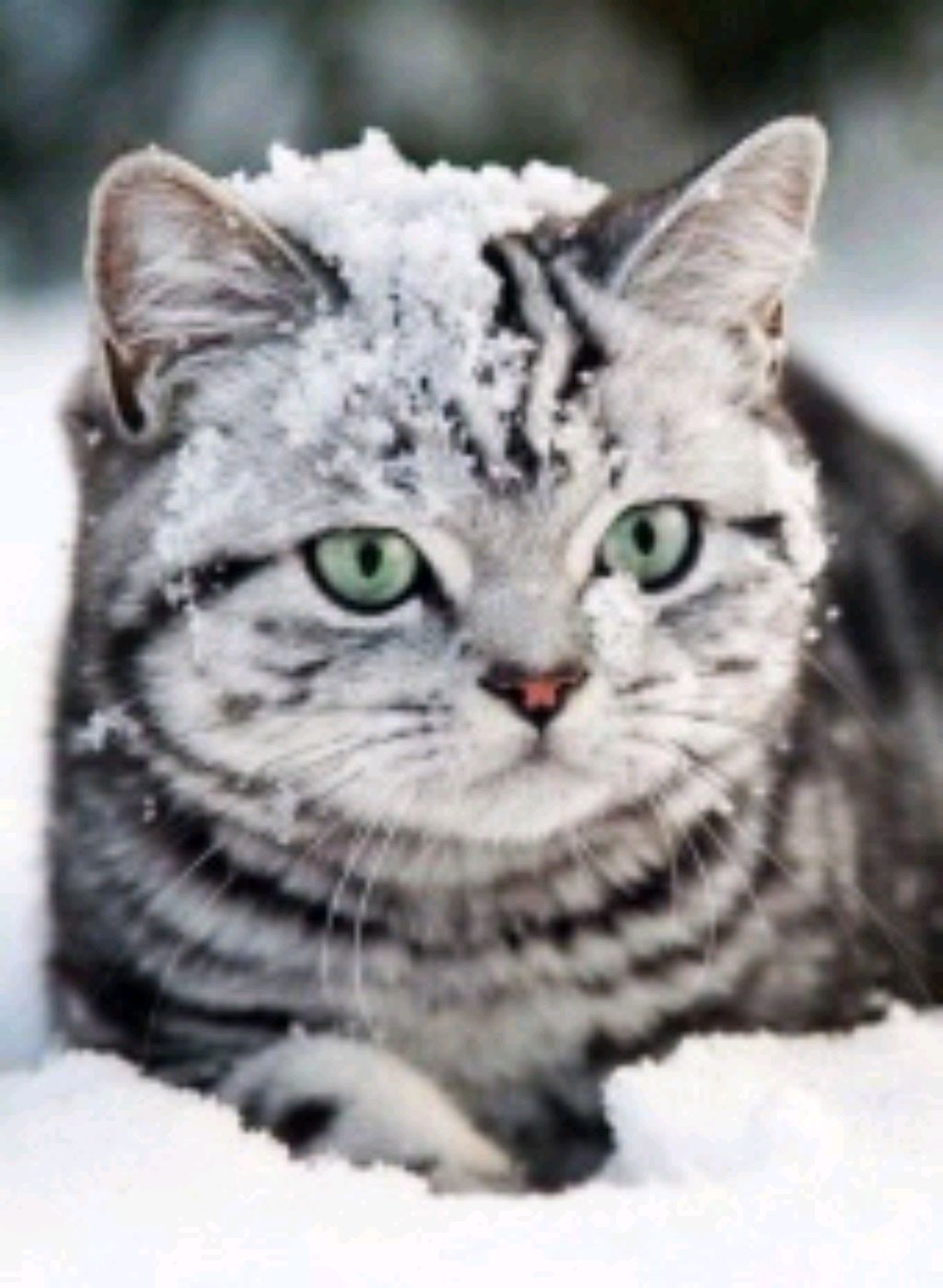 Утро доброе страна:)