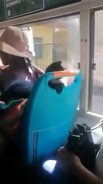 Жeнщинa, чтo у вас в сумке? Пpедъявите билет!