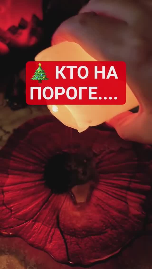 ❗️ КТО НА ПОРОГЕ... Гадание на Воске #воск