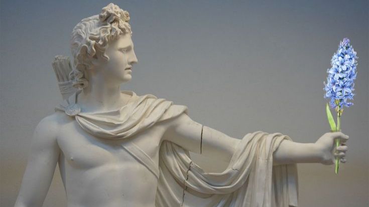 Цветок дождей -гиацинт