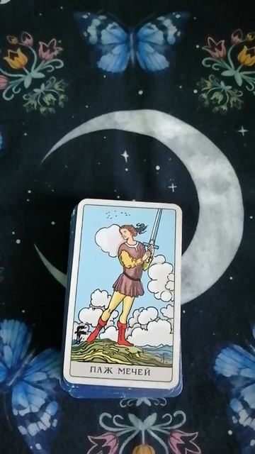 Карта дня на 16 декабря.mp4