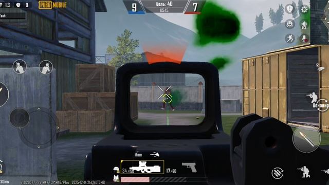 Крыса тупая