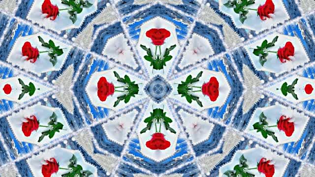 Розы в Зимнюю пору 5 от Киностудии Мудрого Кота Тимофея!