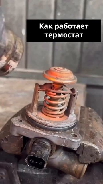 Показываем наглядно, как работает термостат. Возможно, это будет интересно кому-то.