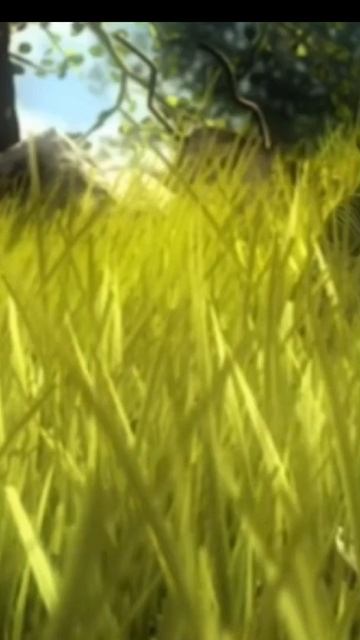 стрелок легенда сталкер