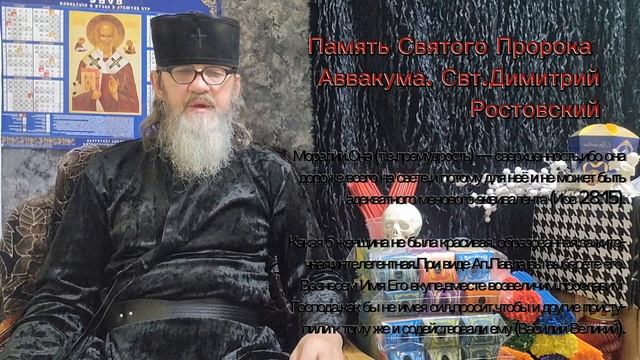 Свт.Димитрий Ростовский память Св.Прор.Аввакума.mp4