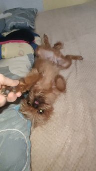 Викинг хватит спать