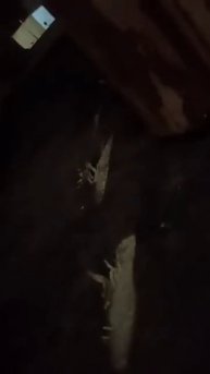 Почистил дымоход газовым балончиком кинув его в топку ЛОПНИТЕ СО СМЕХА!!!!!