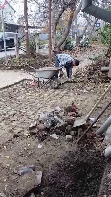 Как превратить хаос в идеальный двор? Смотрите наш рабочий процесс!