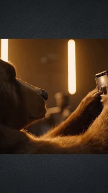 Селфака забил #животные #спорт