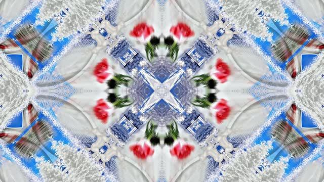 Розы в Зимнюю пору 4 от Киностудии Мудрого Кота Тимофея!