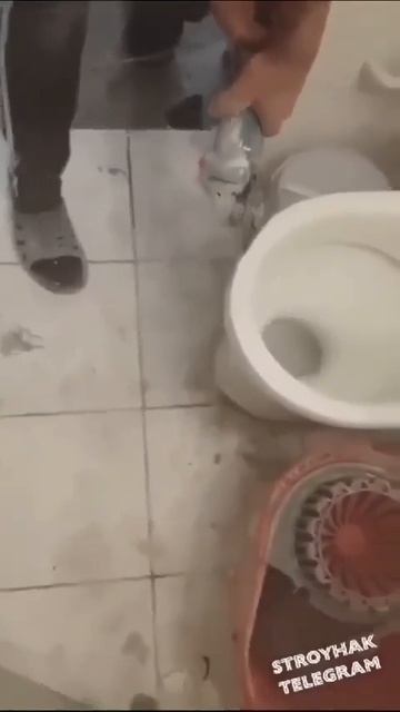 В такой магазин я бы каждый день ходил.