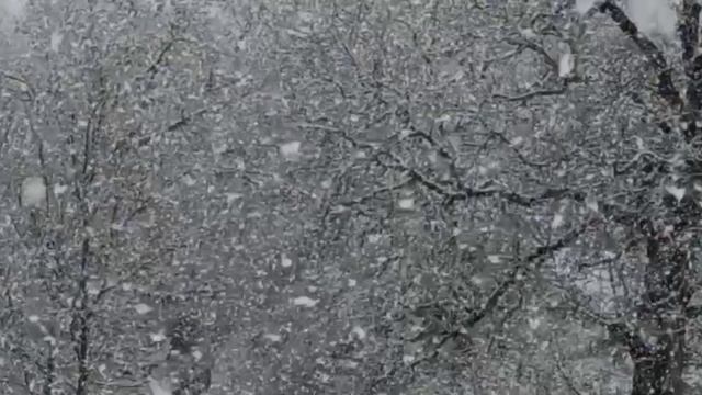 Красивая зима в горах, пушистый снег идет как в сказке