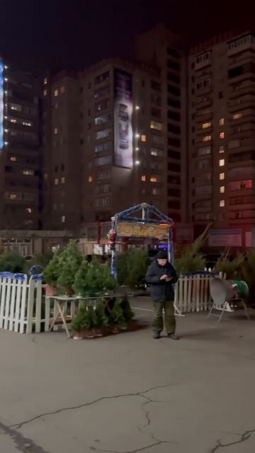 Ёлочный базар открылся на пр. Ильича возле "MOLOKO"