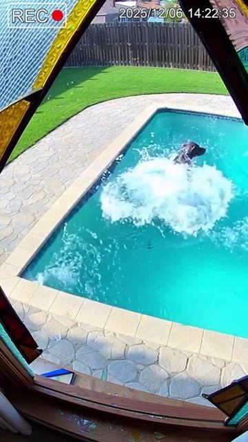 ВОТ ЭТО ДА))