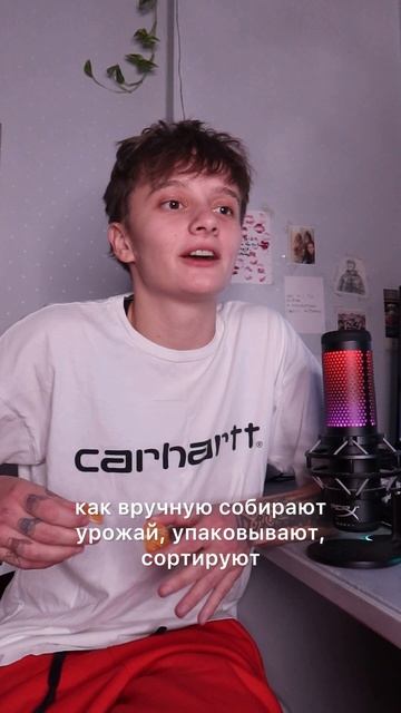 «Мандарины» 🍊