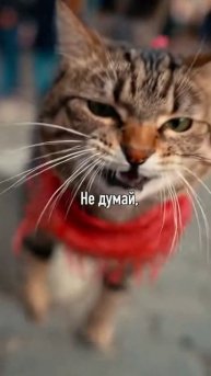 Не думай - действуй