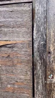 пов: городская в деревне: