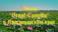 Отель «Grand Camellia» в Краснодарском крае