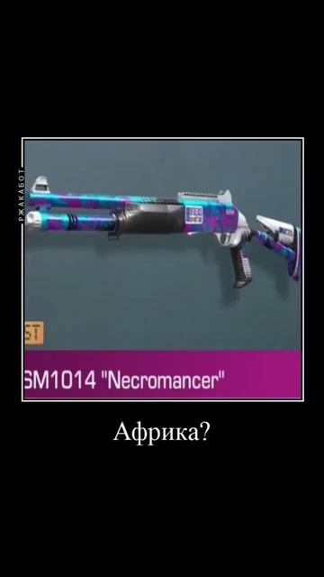 Приколы со2