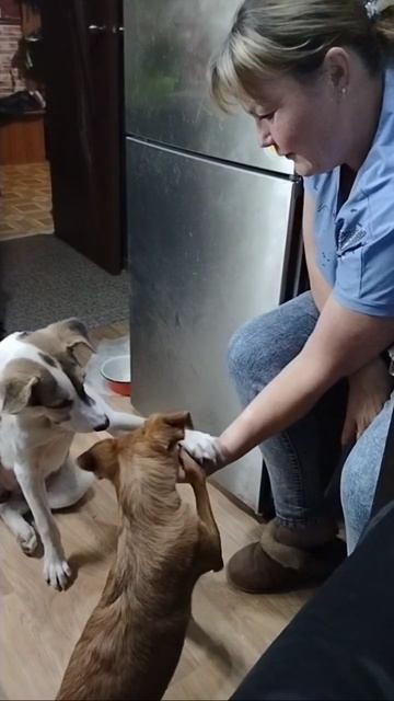 Готовы работать в команде 🇷🇺