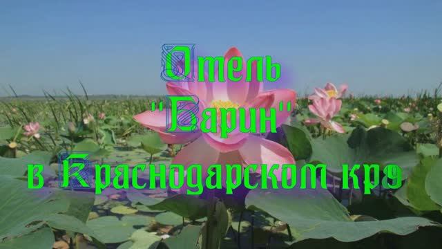 Отель «Барин» в Краснодарском крае