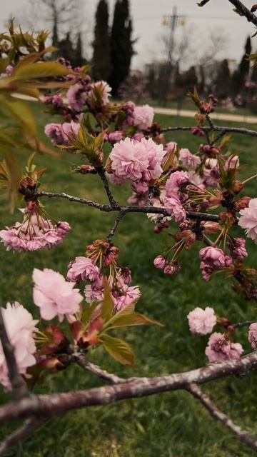 Просто вайбовые моменты с путешествия