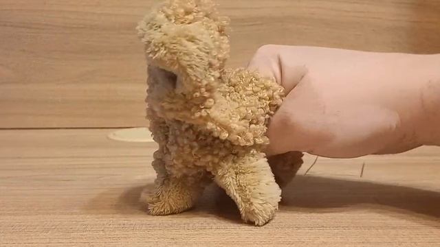 Моя будущая 🐑овечка🐑