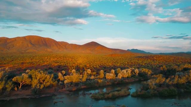 GRAIN TRADE AFRICA 2025