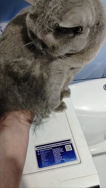 Почисались немного