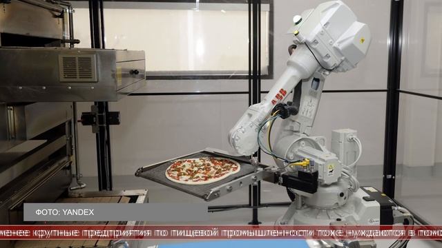 15.12.2025 Интересные факты. В каких сферах роботы работают наравне с людьми