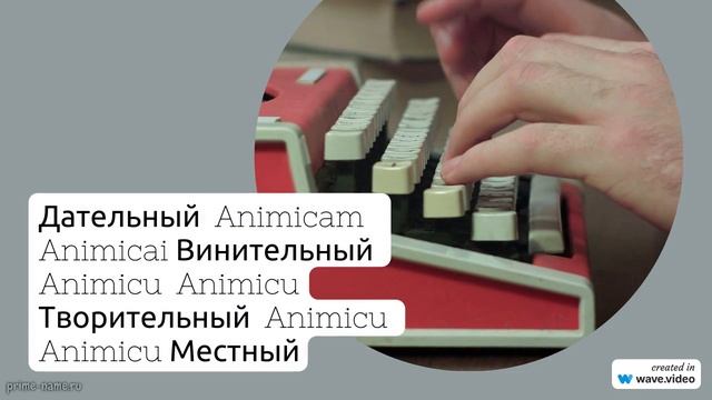 Познайте все о фамилии Анимица: происхождение, склонение и значение с исторической перспективой