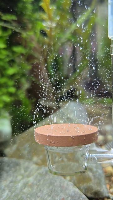 Подача CO2 в травник