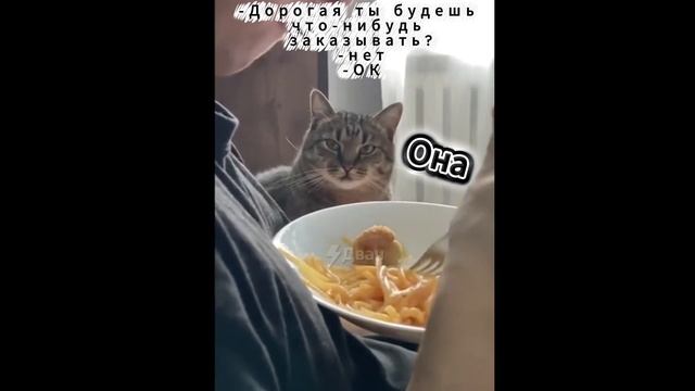 Когда пришли в ресторан #прикол #девушки #смешно #смешныевидео