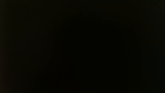 (stop motion) ninja TURTLES THE FISH FEIS AND RAHJAR