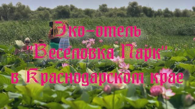 Эко-отель «Веселовка Парк»  в Краснодарском крае