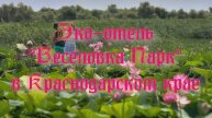 Эко-отель «Веселовка Парк» в Краснодарском крае
