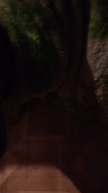 спасение из лежанки🤦