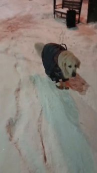 VID-20251208-WA0002.mp4