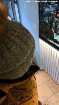 2025 12 14 ВЕЧЕРНЯЯ ПРОГУЛКА 4К.mp4