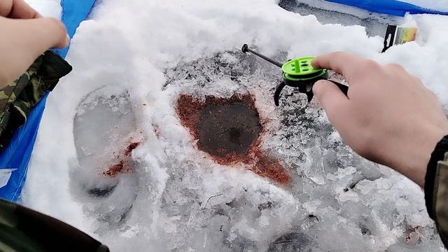 Рыбалка  14.12.2025