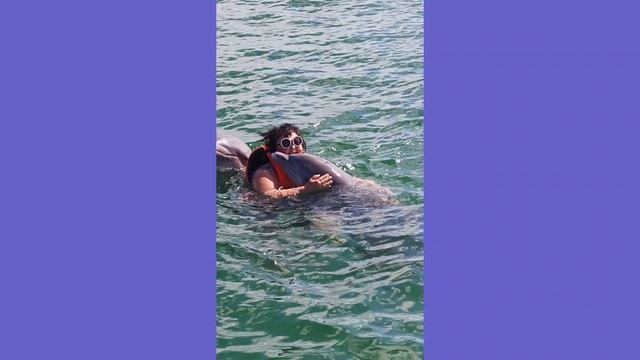 Дельфины на Кубе, Ольгин